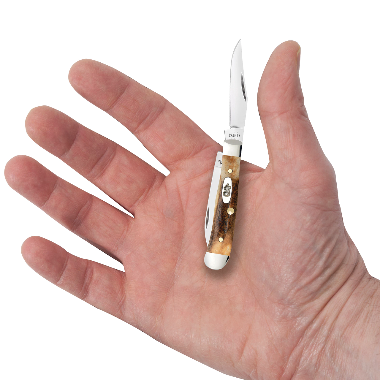 Deer Stag Tiny Trapper