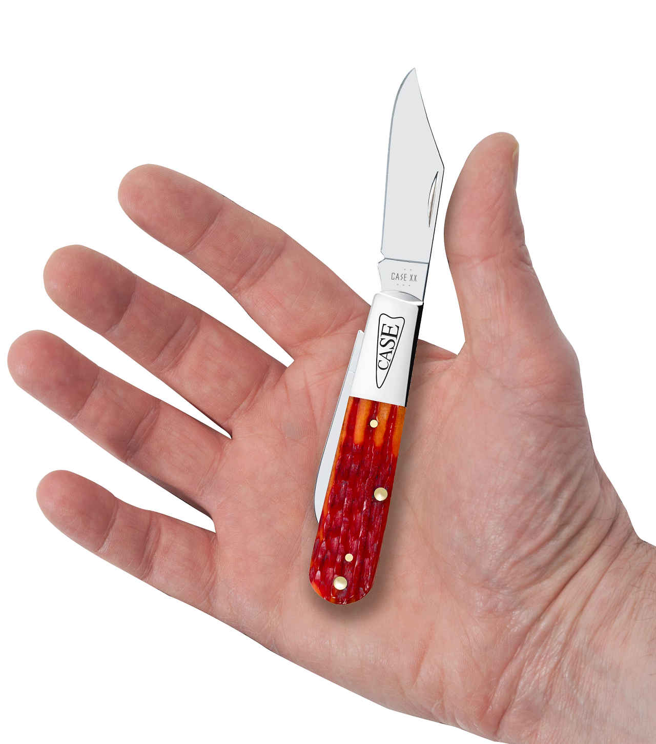 Indian Paint Brush Bone Kinfolks Jig Barlow