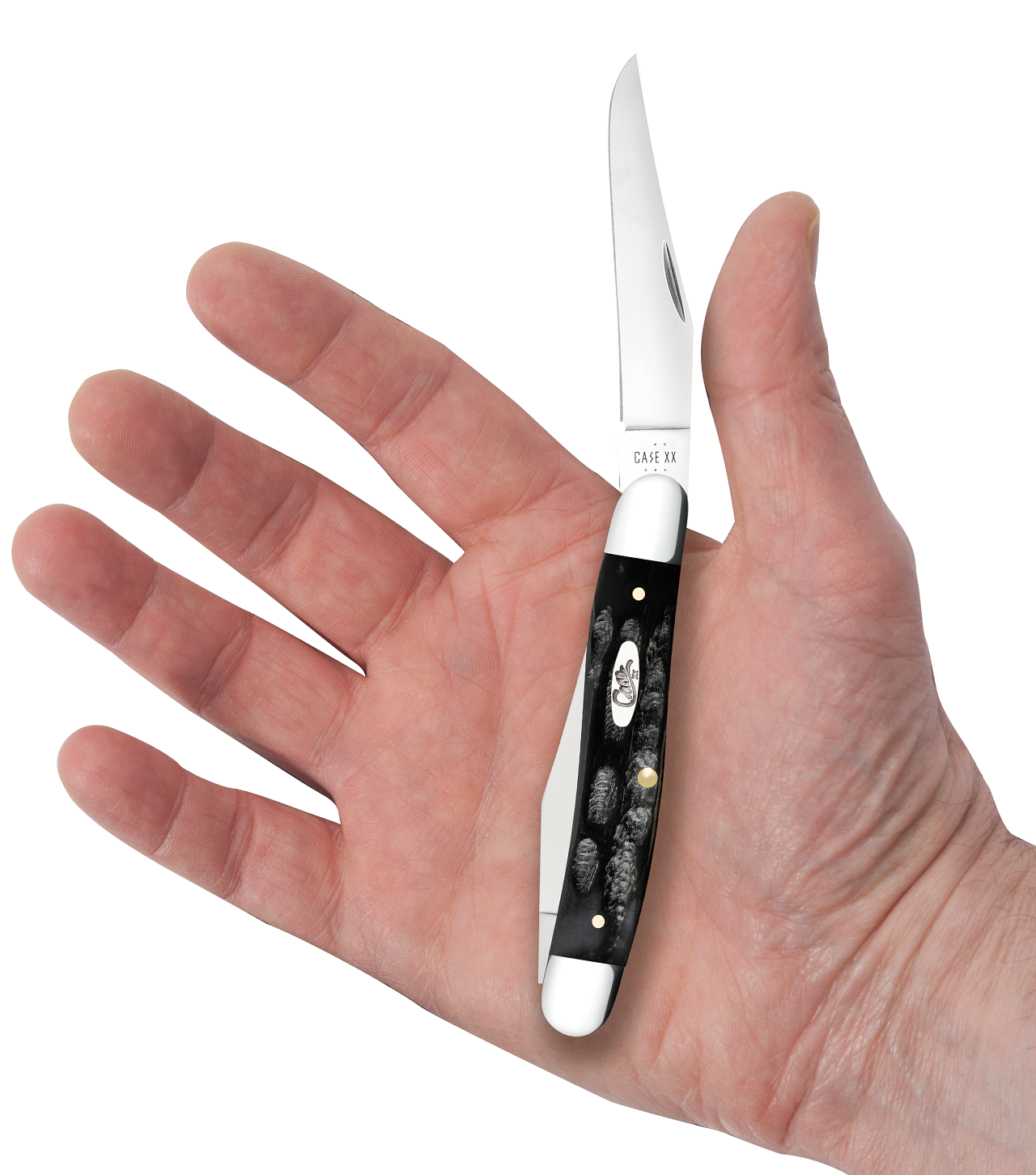 Jigged Buffalo Horn Muskrat