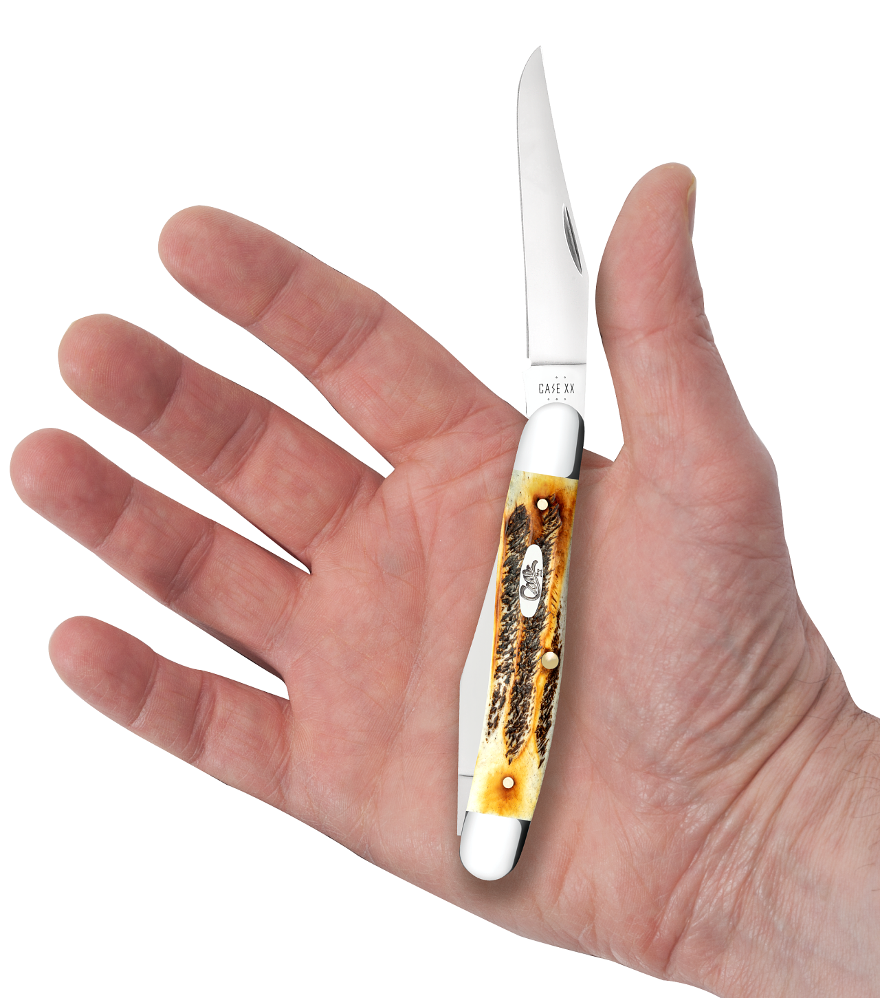 6.5 Bonestag Muskrat