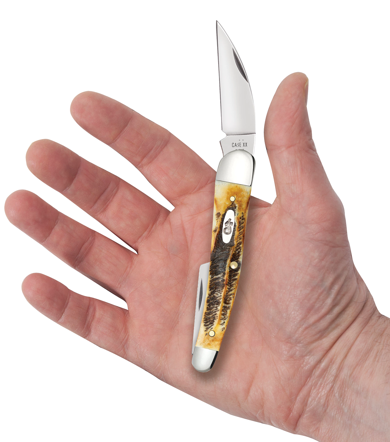 6.5 BoneStag Seahorse Whittler