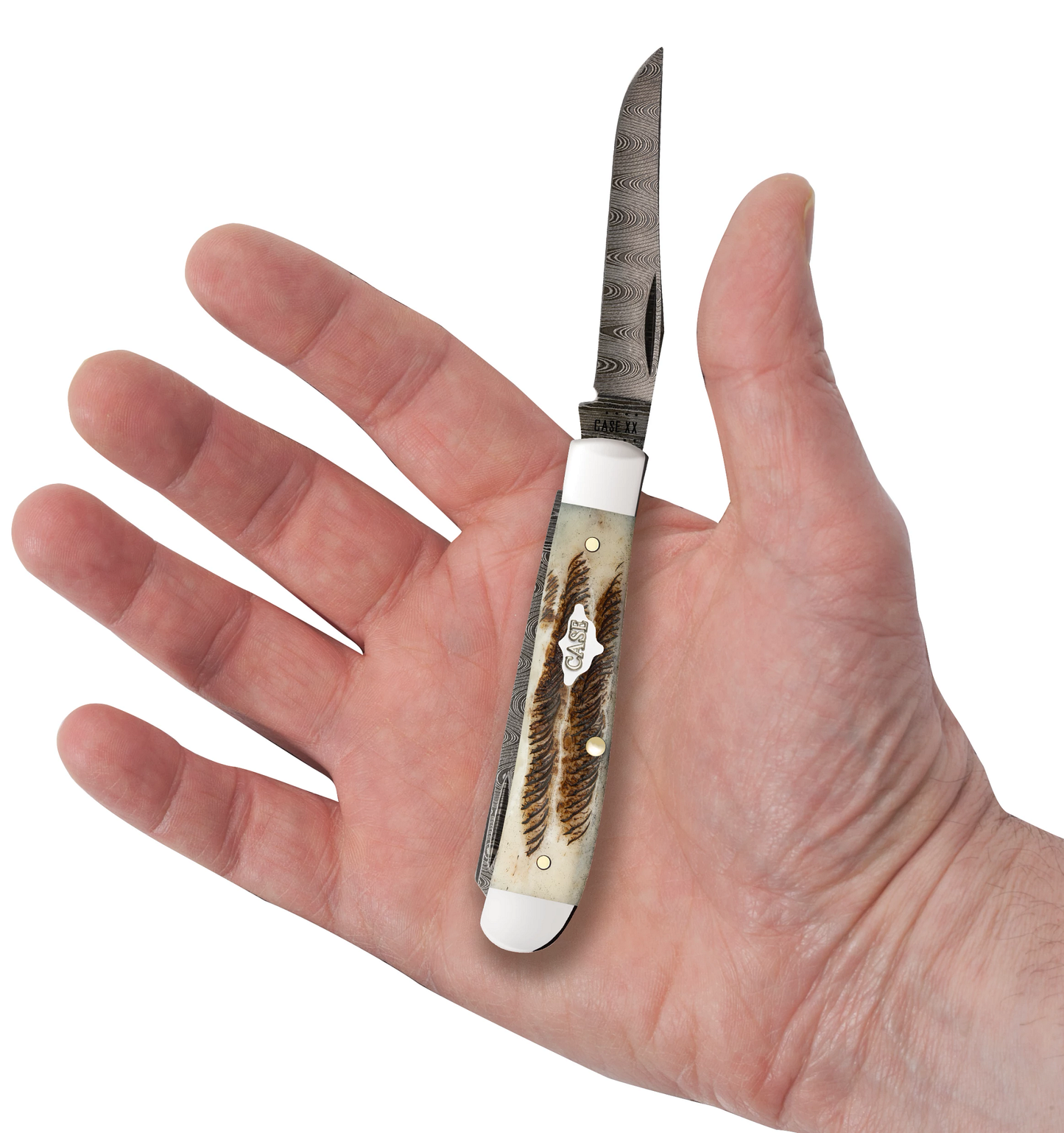 Vintage Bone Damascus Mini Trapper