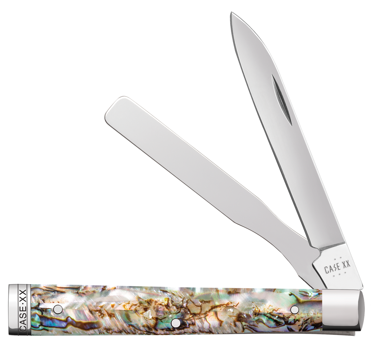 Smooth Abalone Baby Doc