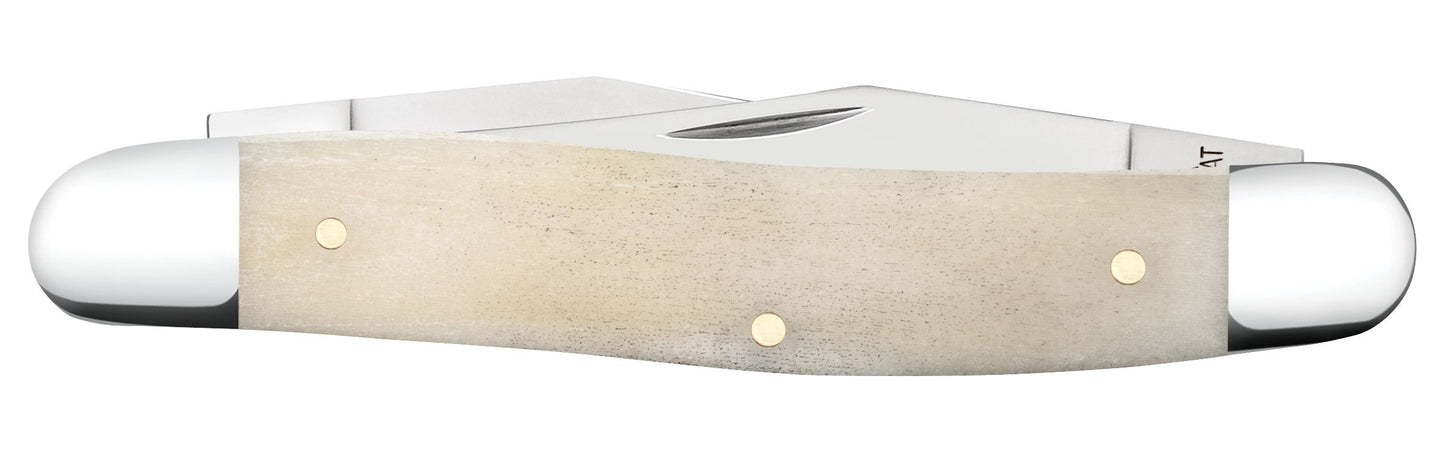 Natural Bone Smooth Muskrat
