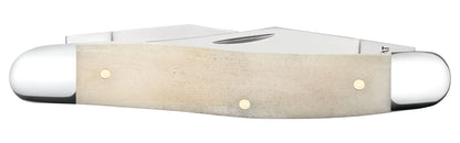 Natural Bone Smooth Muskrat