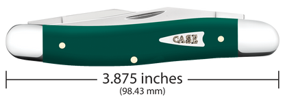 Case XX™ Muskrat Spruce Green Synthetic 64533 Stainless Pocket Knife