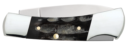 Jigged Buffalo Horn Lockback