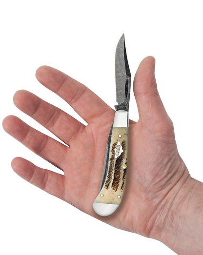 Vintage Bone Damascus Saddlehorn