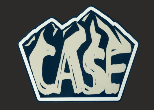 6 pk  various design vinyl case stickers