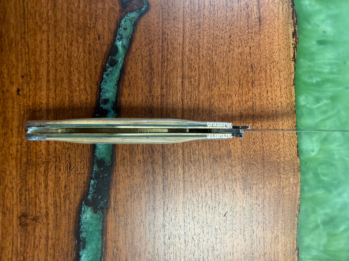 Custom Case Cheetah Cub